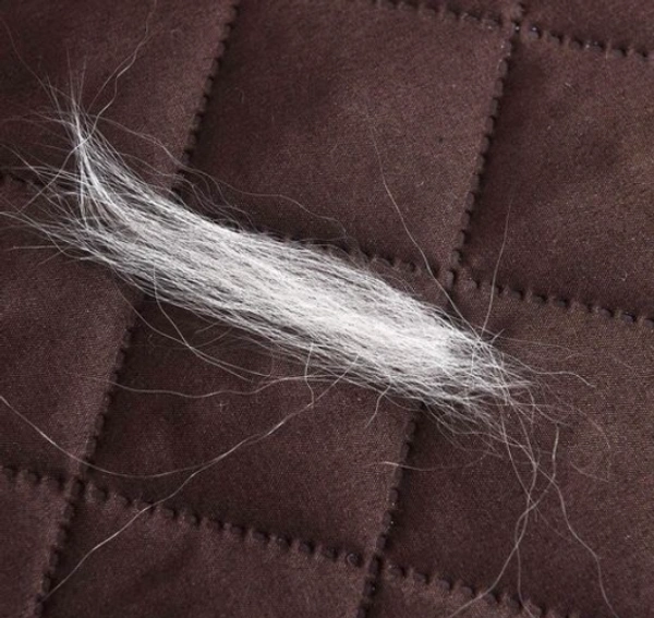 Kuber Industries Reversible 2 Seater Polyester Sofa Cover for Living Room, Brown & Ivory - 2 Seater, Brown & Ivory, Polyster, Elastic/ Strechable, Pack of1